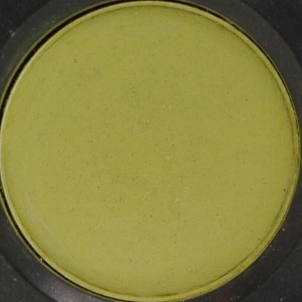 MAC Eye Shadow Refill ~ SILLY GOOSE ~